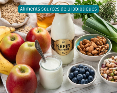 Aliments sources de probiotiques